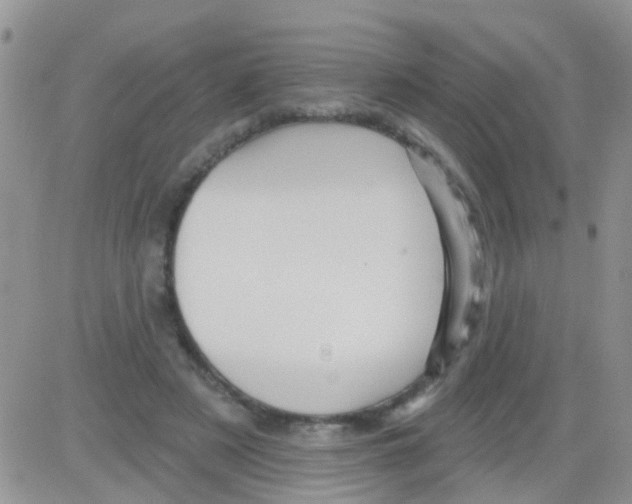 X0000082710497200702232259