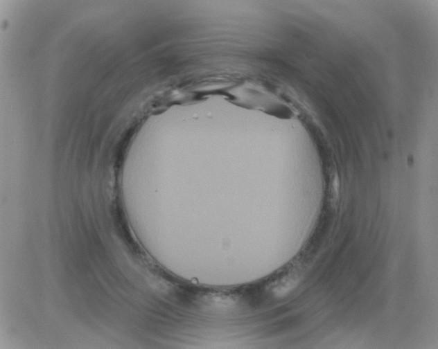 X0000082710498200702232259