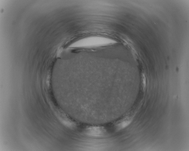 X0000082710499200702232259