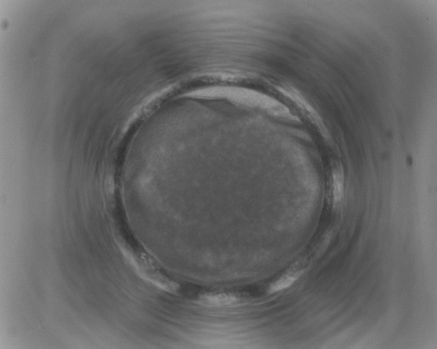 X0000082710500200702232259