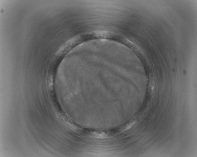 X0000082710502200702232259