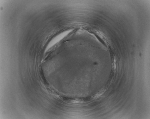 X0000082710504200702232259