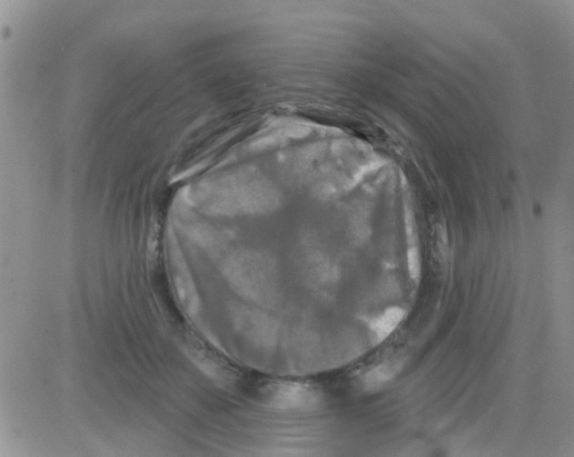 X0000082710507200702232259