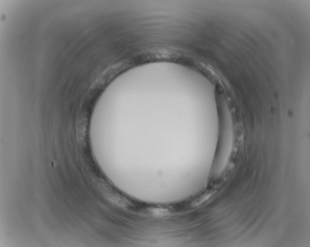 X0000082710509200702232259