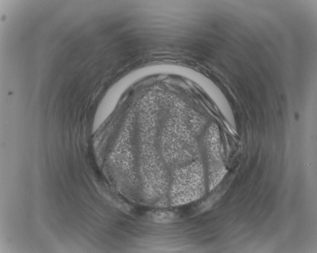 X0000082710512200702232259