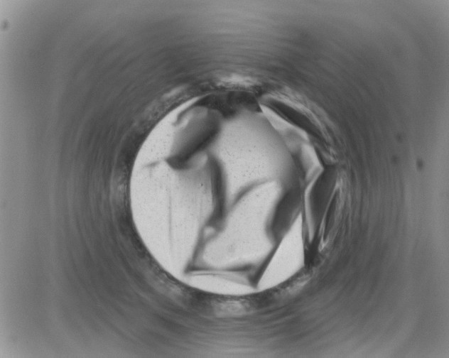 X0000082710513200702232259