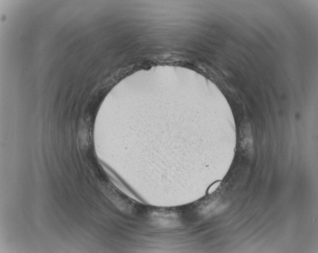 X0000082710515200702232259