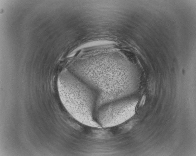 X0000082710516200702232259