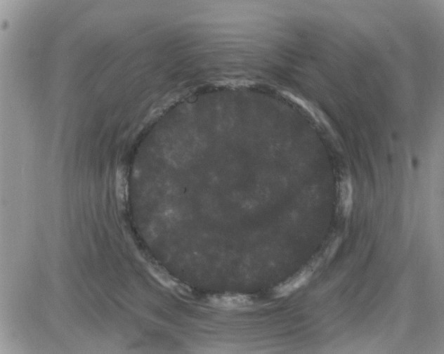 X0000082710517200702232259