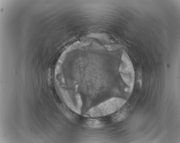 X0000082710519200702232259