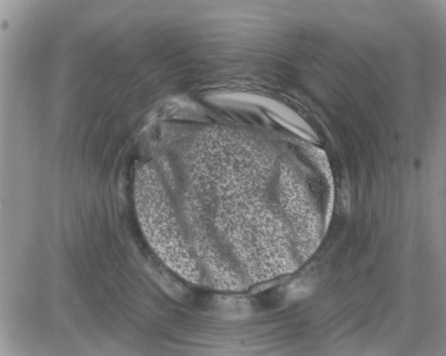 X0000082710520200702232259