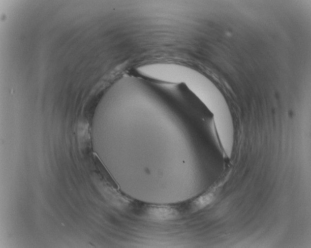 X0000082710521200702232259