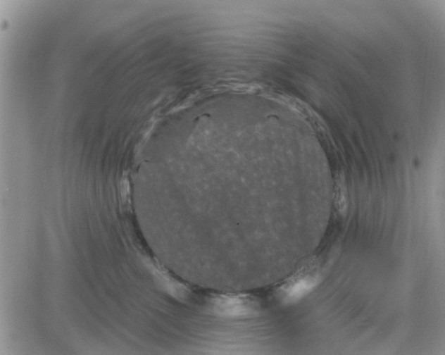 X0000082710523200702232259