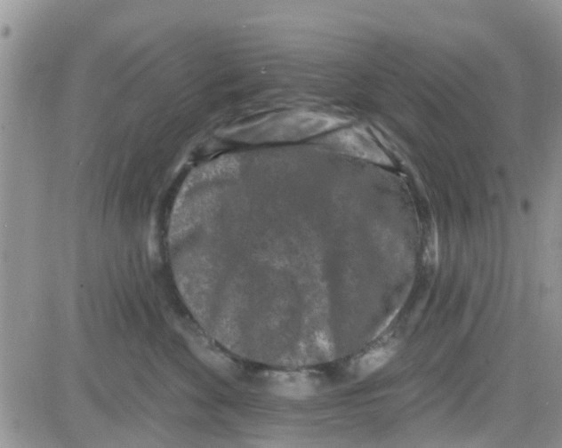 X0000082710524200702232259