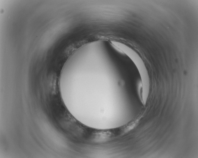 X0000082710525200702232259