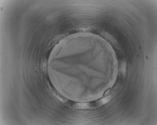 X0000082710526200702232259