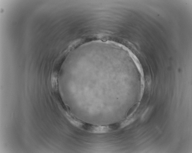 X0000082710527200702232259