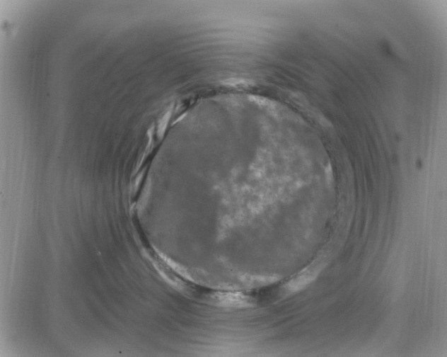 X0000082710528200702232259