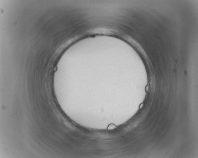 X0000082710529200702232258