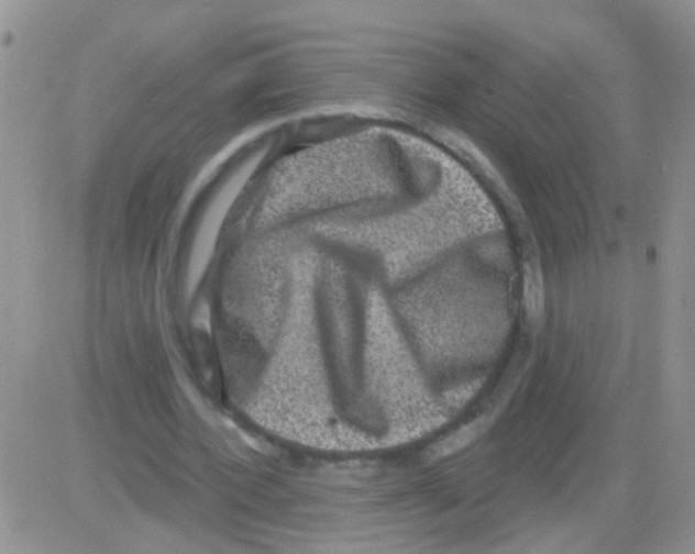 X0000082710532200702232258