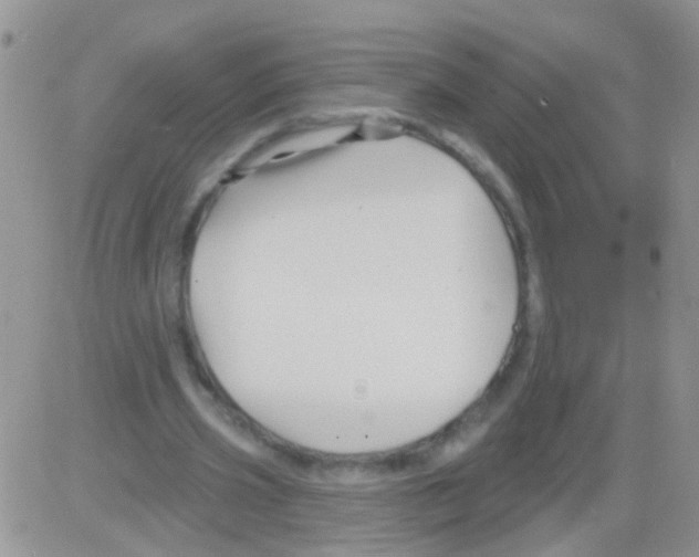 X0000082710533200702232258