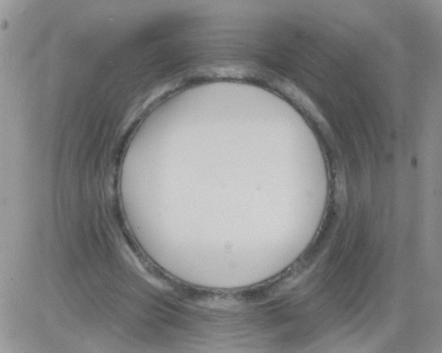 X0000082710537200702232258