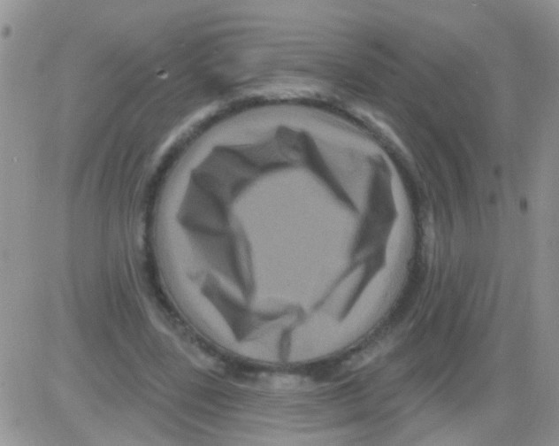 X0000082710539200702232258