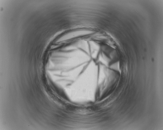 X0000082710540200702232258