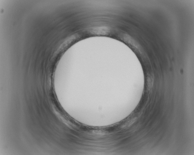 X0000082710541200702232258