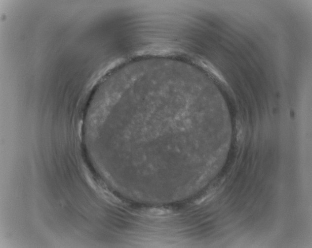 X0000082710542200702232258