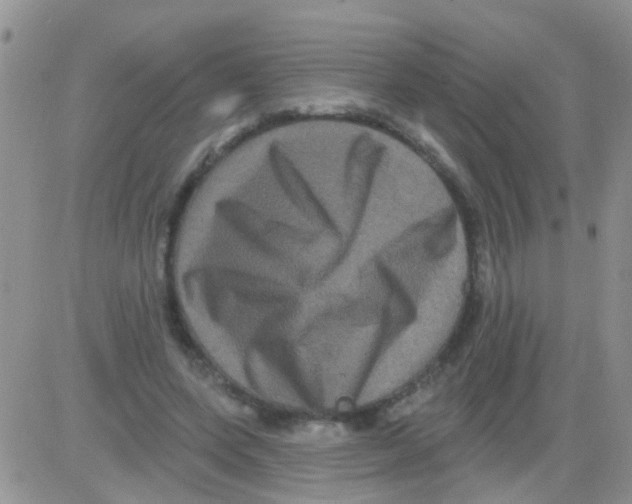 X0000082710543200702232258