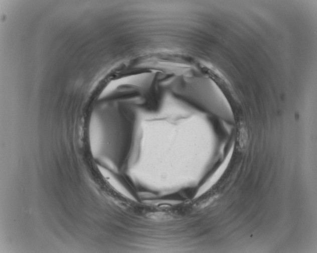 X0000082710544200702232258