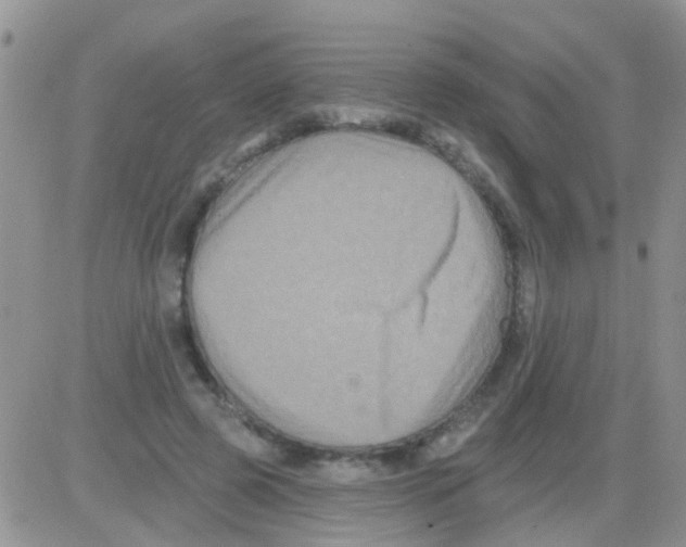 X0000082710545200702232258