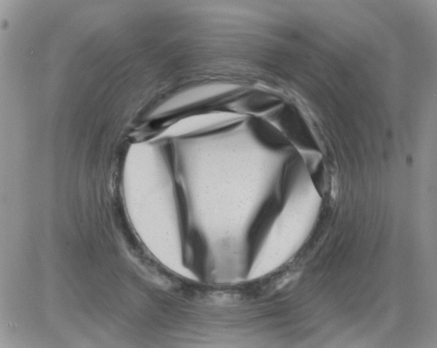 X0000082710546200702232258