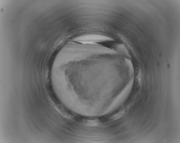 X0000082710548200702232258