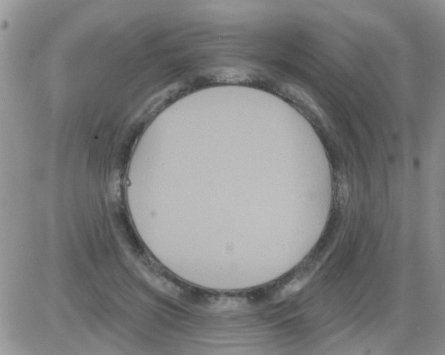 X0000082710549200702232258