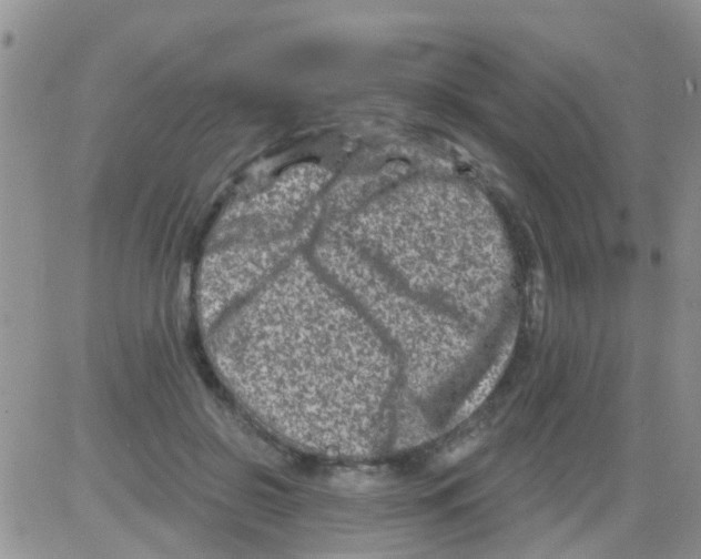 X0000082710550200702232258