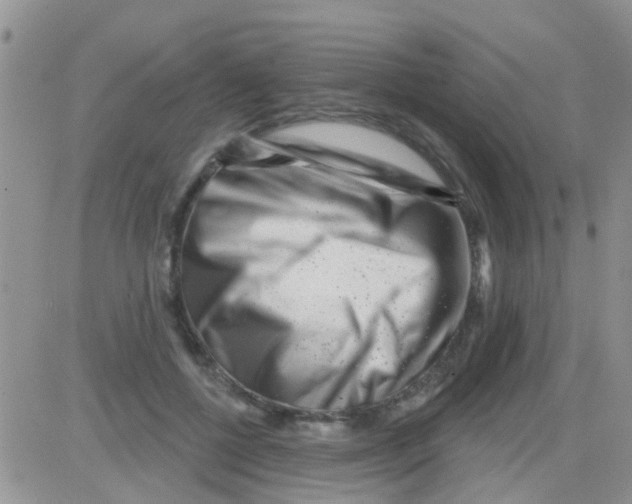 X0000082710552200702232259