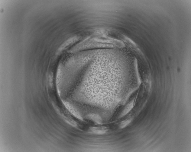 X0000082710556200702232259