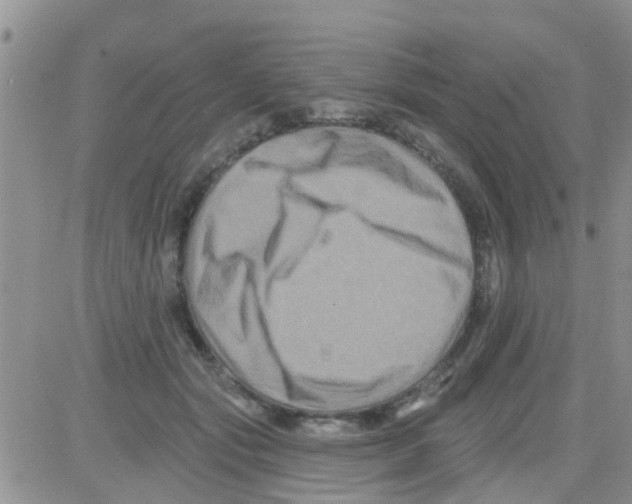 X0000082710557200702232259