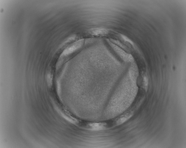 X0000082710558200702232259