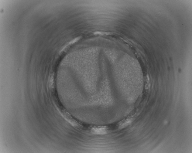 X0000082710560200702232259