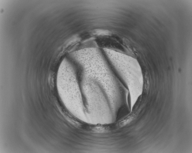 X0000082710562200702232259