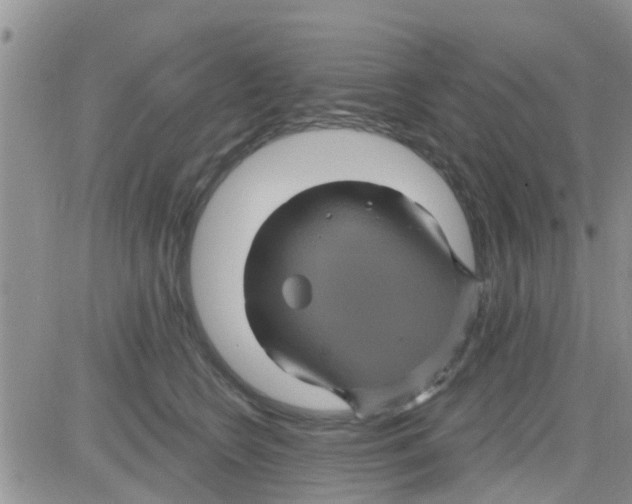 X0000082710566200702232259