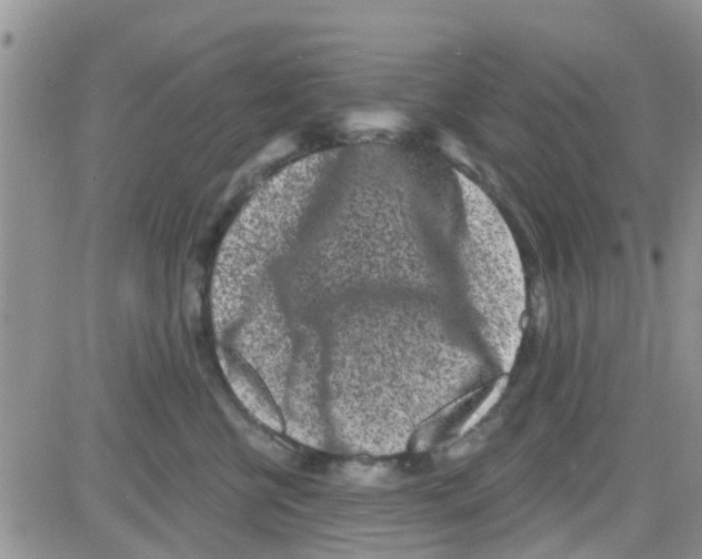 X0000082710570200702232259