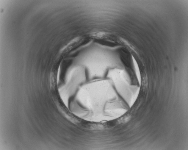 X0000082710572200702232259