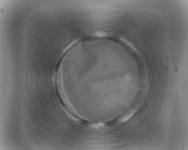 X0000082710576200702232259