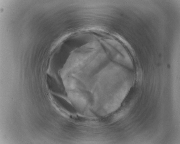 X0000082710577200702232258