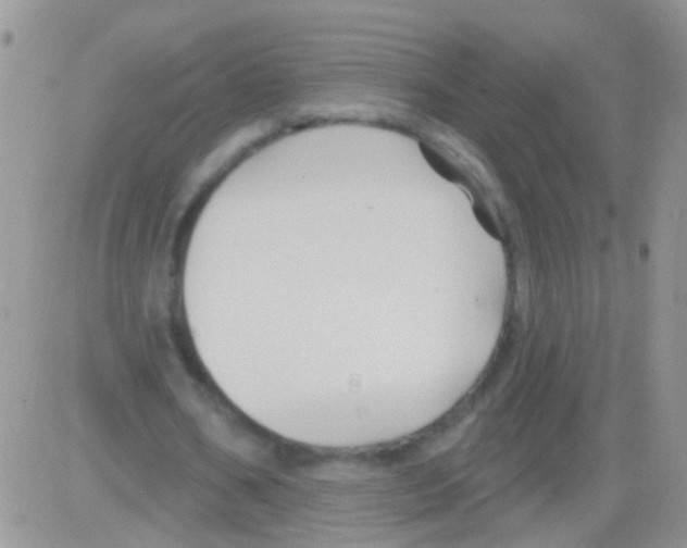 X0000082710578200702232258