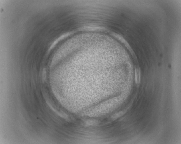 X0000082710579200702232258